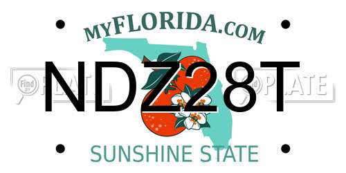 NDZ28T Florida License Plate