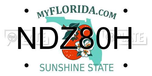 NDZ80H Florida License Plate
