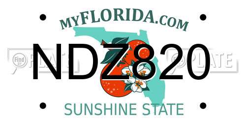 NDZ820 Florida License Plate