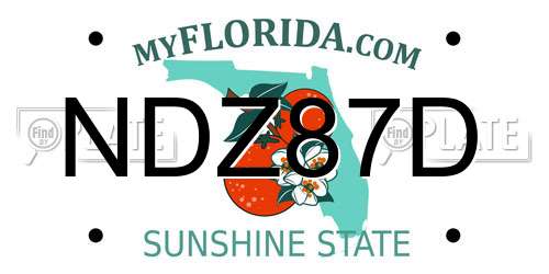 NDZ87D Florida License Plate