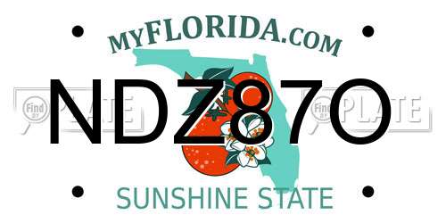 NDZ87O Florida License Plate