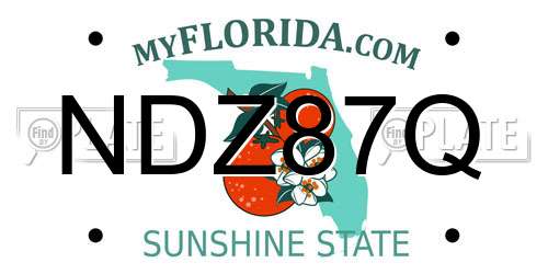 NDZ87Q Florida License Plate