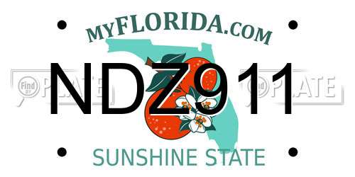 NDZ911 Florida License Plate