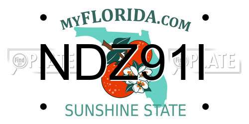 NDZ91I Florida License Plate