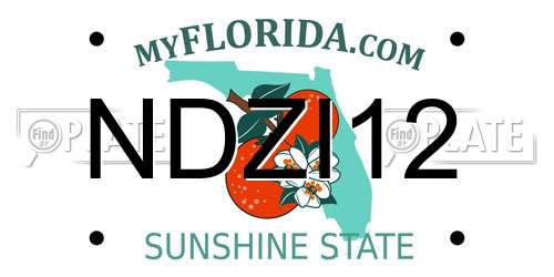 NDZI12 Florida License Plate
