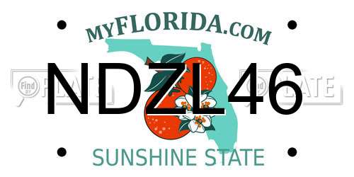 NDZL46 Florida License Plate
