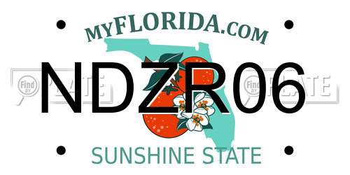 NDZR06 Florida License Plate