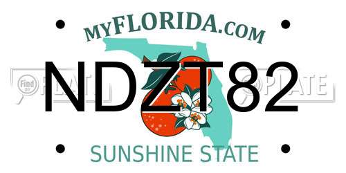 NDZT82 Florida License Plate