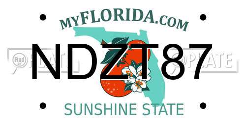 NDZT87 Florida License Plate