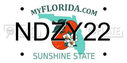 NDZY22 Florida License Plate