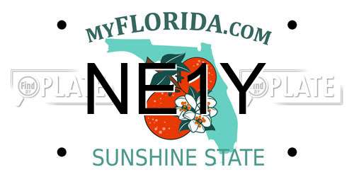 NE1Y Florida License Plate