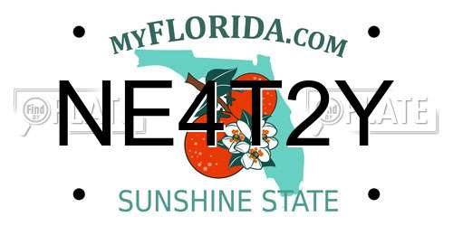 NE4T2Y Florida License Plate