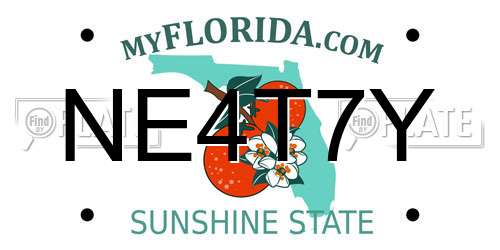 NE4T7Y Florida License Plate