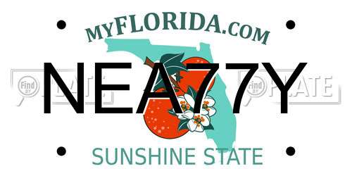 NEA77Y Florida License Plate