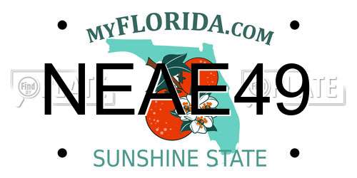 NEAE49 Florida License Plate