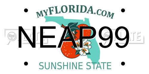 NEAP99 Florida License Plate