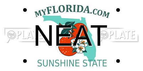 NEAT Florida License Plate