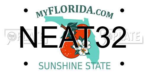 NEAT32 Florida License Plate