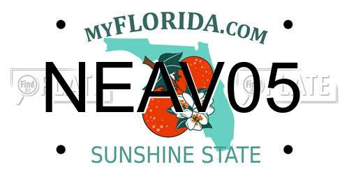 NEAV05 Florida License Plate