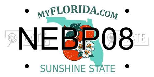 NEBP08 Florida License Plate