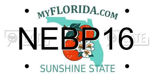 NEBP16 Florida License Plate