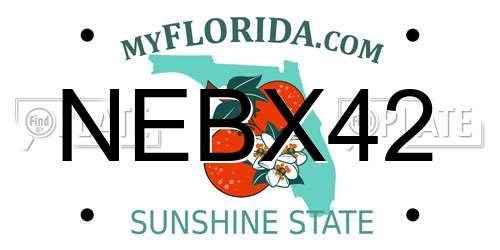 NEBX42 Florida License Plate