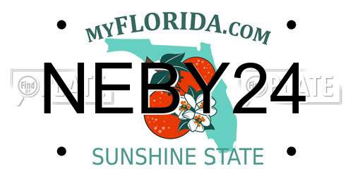 NEBY24 Florida License Plate