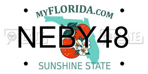 NEBY48 Florida License Plate