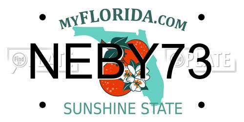 NEBY73 Florida License Plate