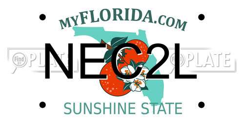 NEC2L Florida License Plate