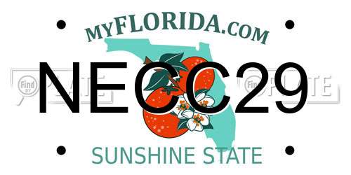 NECC29 Florida License Plate