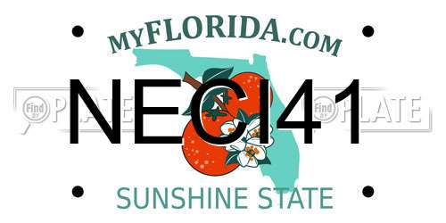NECI41 Florida License Plate