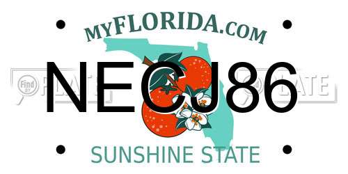 NECJ86 Florida License Plate