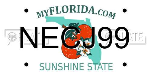 NECJ99 Florida License Plate