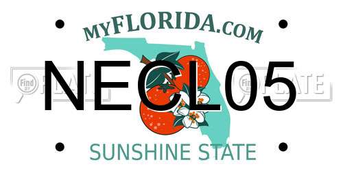 NECL05 Florida License Plate