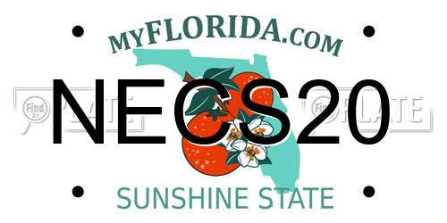 NECS20 Florida License Plate