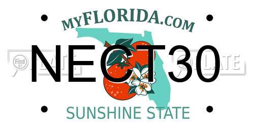 NECT30 Florida License Plate
