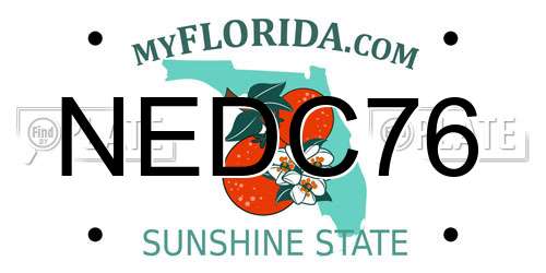 NEDC76 Florida License Plate