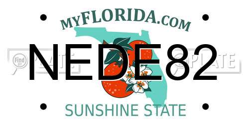NEDE82 Florida License Plate
