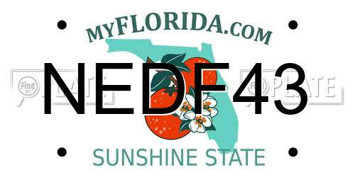 NEDF43 Florida License Plate