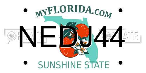 NEDJ44 Florida License Plate