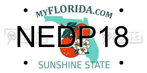 NEDP18 Florida License Plate