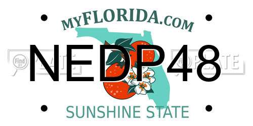 NEDP48 Florida License Plate