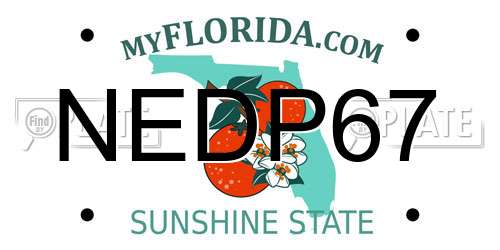 NEDP67 Florida License Plate