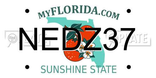 NEDZ37 Florida License Plate