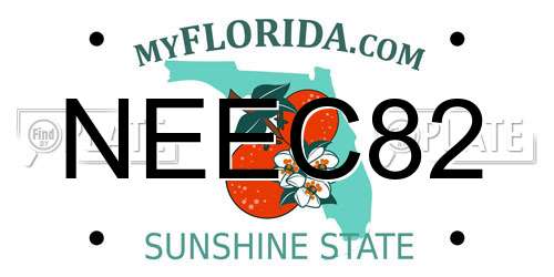NEEC82 Florida License Plate