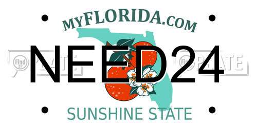 NEED24 Florida License Plate