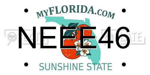 NEEE46 Florida License Plate