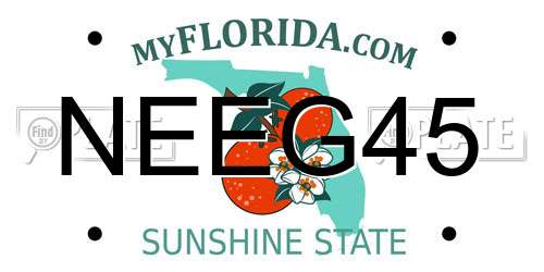 NEEG45 Florida License Plate