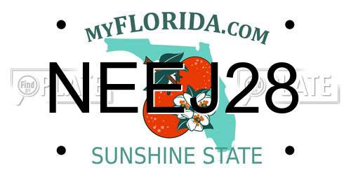 NEEJ28 Florida License Plate